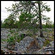 Kivitämäkkä, © MS 2004 